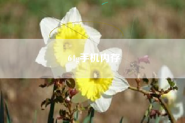 64g手机内存