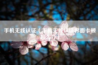 手机无线认证（手机无线认证界面卡顿怎么办）