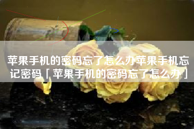 苹果手机的密码忘了怎么办苹果手机忘记密码「苹果手机的密码忘了怎么办」