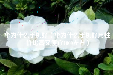 华为什么手机好（华为什么手机好用性价比高又便宜1000左右）