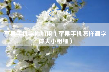 苹果手机字体加粗（苹果手机怎样调字体大小粗细）