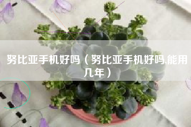 努比亚手机好吗（努比亚手机好吗,能用几年）
