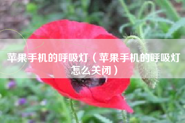 苹果手机的呼吸灯（苹果手机的呼吸灯怎么关闭）