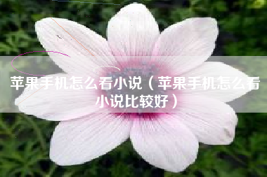 苹果手机怎么看小说（苹果手机怎么看小说比较好）