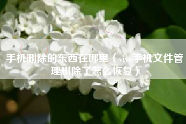 手机删除的东西在哪里（vivo手机文件管理删除了怎么恢复）