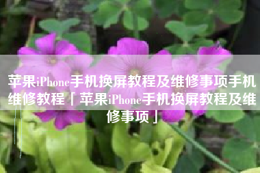 苹果iPhone手机换屏教程及维修事项手机维修教程「苹果iPhone手机换屏教程及维修事项」