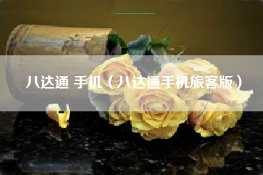八达通 手机（八达通手机旅客版）