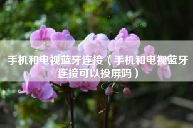 手机和电视蓝牙连接（手机和电视蓝牙连接可以投屏吗）
