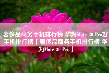 奢侈品商务手机排行榜 华为Mate 30 Pro好手机排行榜「奢侈品商务手机排行榜 华为Mate 30 Pro」