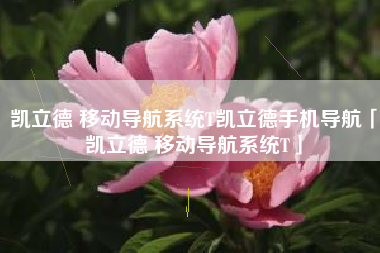 凯立德 移动导航系统T凯立德手机导航「凯立德 移动导航系统T」