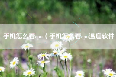 手机怎么看cpu（手机怎么看cpu温度软件）