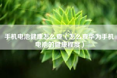 手机电池健康怎么查（怎么查华为手机电池的健康程度）