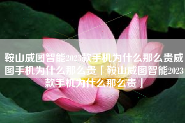 鞍山威图智能2023款手机为什么那么贵威图手机为什么那么贵「鞍山威图智能2023款手机为什么那么贵」