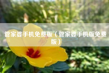 管家婆手机免费版（管家婆手机版免费版）