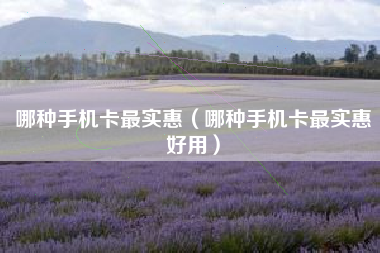 哪种手机卡最实惠（哪种手机卡最实惠好用）