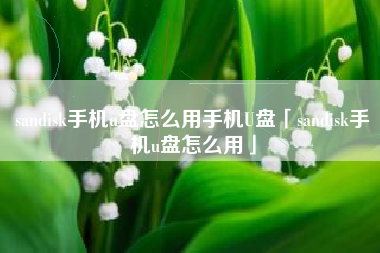 sandisk手机u盘怎么用手机U盘「sandisk手机u盘怎么用」