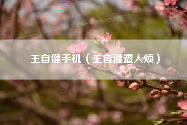 王自健手机（王自健遭人烦）