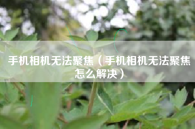 手机相机无法聚焦（手机相机无法聚焦怎么解决）