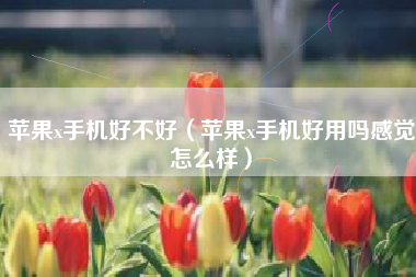 苹果x手机好不好（苹果x手机好用吗感觉怎么样）