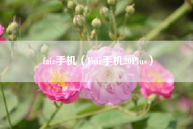 faiz手机（Faiz手机20Plus）