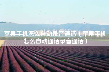 苹果手机怎么自动录音通话（苹果手机怎么自动通话录音通话）