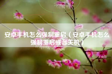 安卓手机怎么强制重启（安卓手机怎么强制重启或者关机）