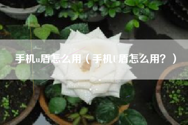 手机u盾怎么用（手机U盾怎么用？）