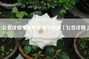 公告详情手机号查顺丰快递「公告详情」