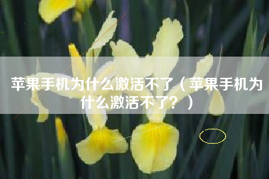 苹果手机为什么激活不了（苹果手机为什么激活不了？）