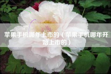 苹果手机哪年上市的（苹果手机哪年开始上市的）