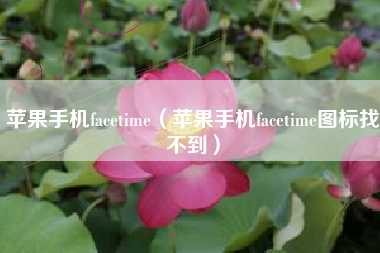 苹果手机facetime（苹果手机facetime图标找不到）