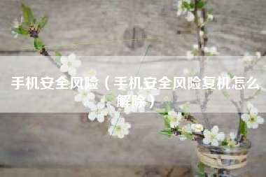 手机安全风险（手机安全风险复机怎么解除）