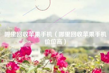 哪里回收苹果手机（哪里回收苹果手机价位高）