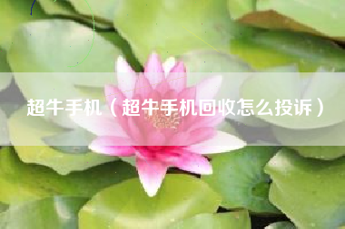 超牛手机（超牛手机回收怎么投诉）