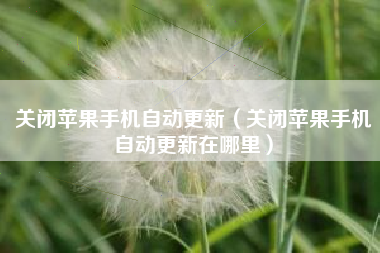 关闭苹果手机自动更新（关闭苹果手机自动更新在哪里）