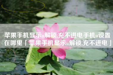 苹果手机显示u解锁,充不进电手机u设置在哪里「苹果手机显示u解锁,充不进电」 苹果手机显示u解锁,充不进电手机u设置在哪里「苹果手机显示u解锁,充不进电」