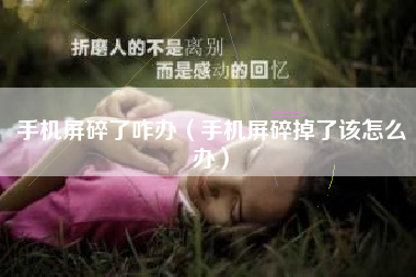 手机屏碎了咋办（手机屏碎掉了该怎么办）