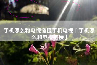 手机怎么和电视链接手机电视「手机怎么和电视链接」