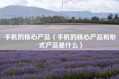 手机的核心产品（手机的核心产品和形式产品是什么）