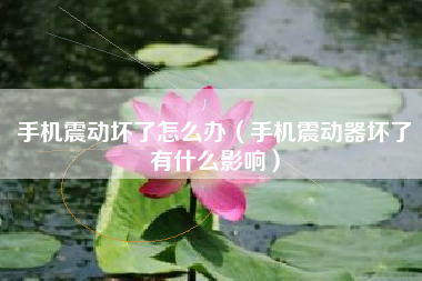 手机震动坏了怎么办（手机震动器坏了有什么影响）