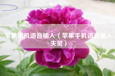 苹果手机语音输入（苹果手机语音输入失灵）