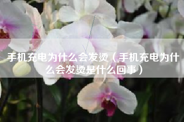手机充电为什么会发烫（手机充电为什么会发烫是什么回事）