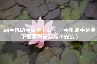 360手机助手免费下载（360手机助手免费下载官网最新版本安装）