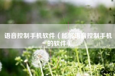 语音控制手机软件（能够语音控制手机的软件）