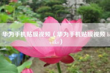 华为手机贴膜视频（华为手机贴膜视频 benks）