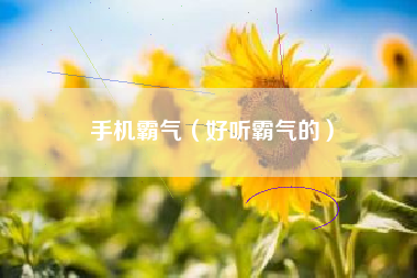手机霸气（好听霸气的）