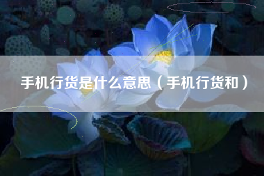 手机行货是什么意思（手机行货和）