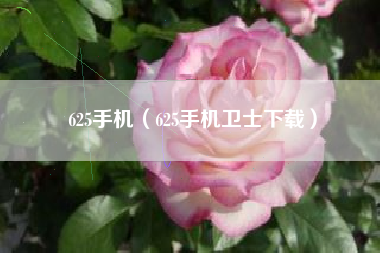 625手机（625手机卫士下载）