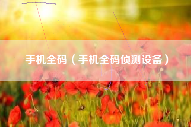 手机全码（手机全码侦测设备）
