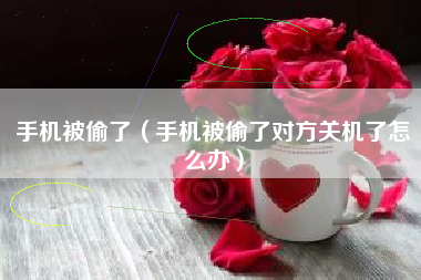 手机被偷了（手机被偷了对方关机了怎么办）